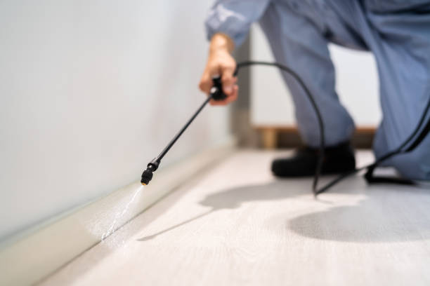 Licensed Rodent Control service in Connecticut, CT - Nex Pest Control