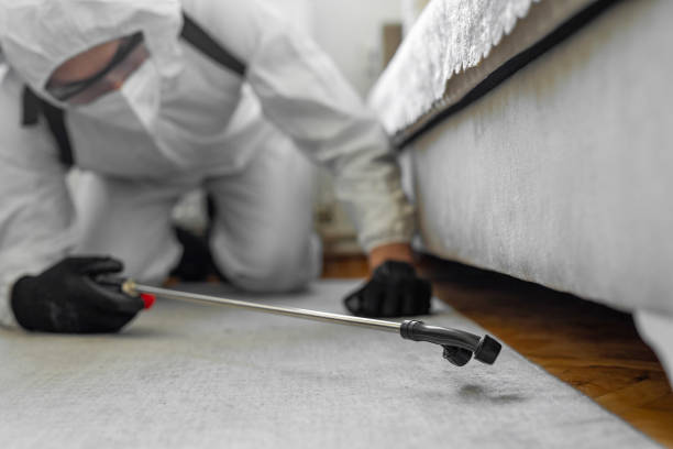 Professional Rodent Control technician working in Connecticut, CT